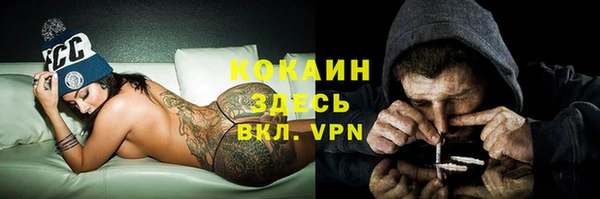 гидра Протвино
