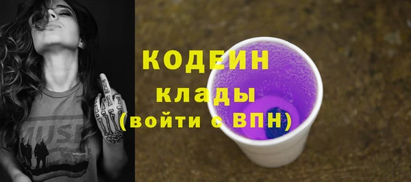 гашик Дмитров