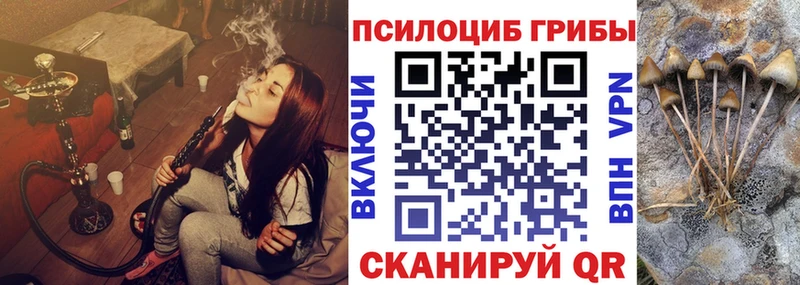 MEGA онион  купить закладку  Старый Крым  Галлюциногенные грибы мухоморы 